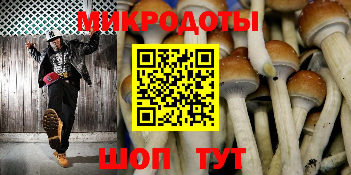 Галлюциногенные грибы Psilocybe Десногорск