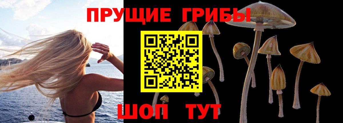 Галлюциногенные грибы Psilocybine cubensis  Вход с VPN  Десногорск  Псилоцибиновые грибы MAGIC MUSHROOMS 